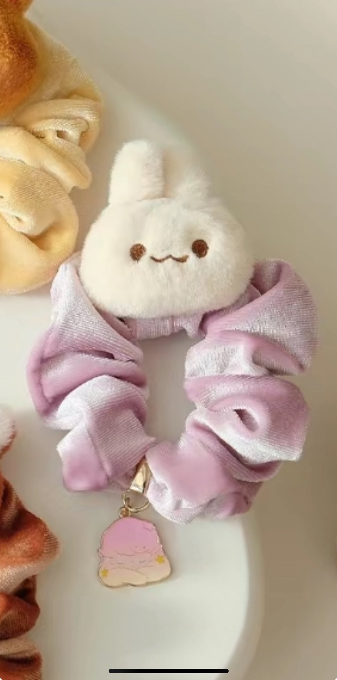 DIMOO Animal Kingdom Series - Hair Tie Blind Boxes